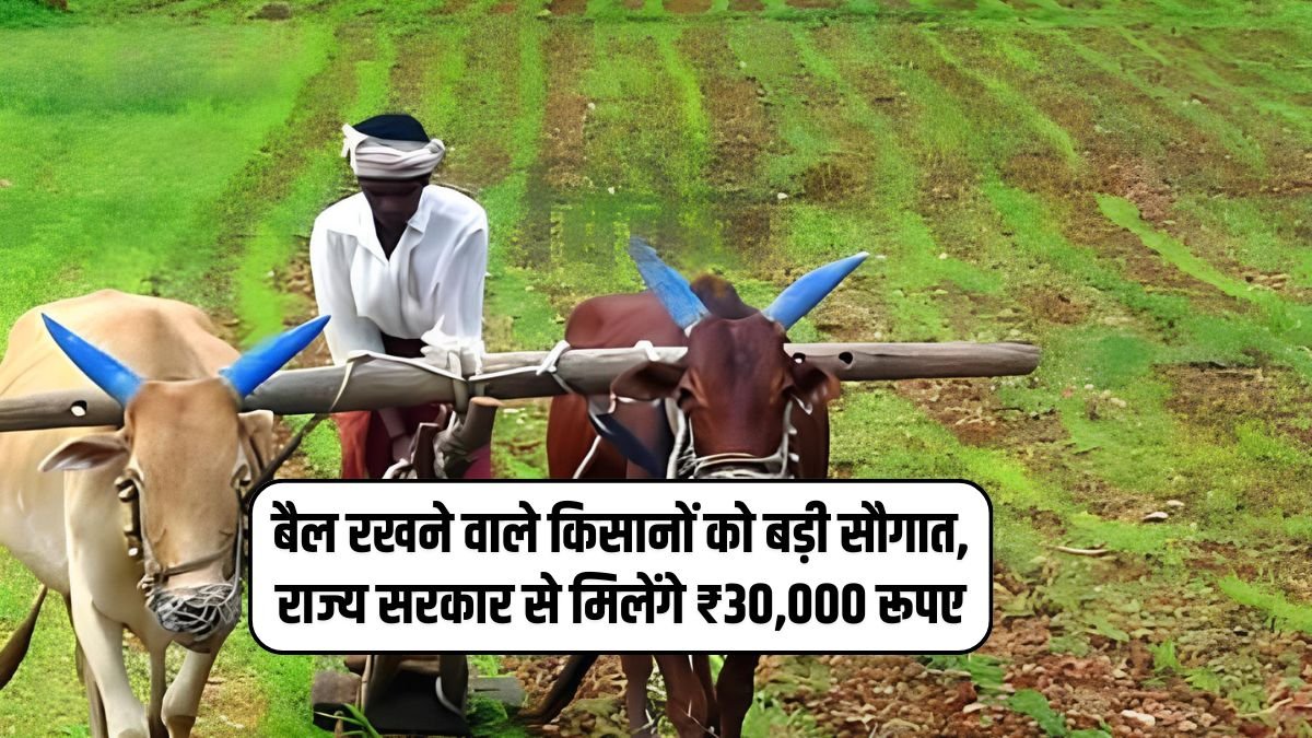 Farmer Subsidy Scheme